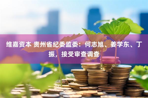 维嘉资本 贵州省纪委监委：何志旭、姜学东、丁振，接受审查调查