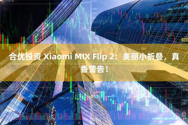 合优投资 Xiaomi MIX Flip 2：美丽小折叠，真香警告！