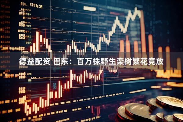 德益配资 巴东：百万株野生栾树繁花竞放